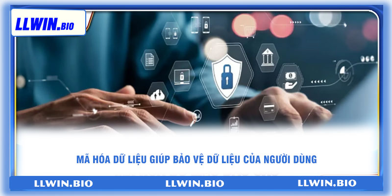 Mã hóa dữ liệu giúp bảo vệ dữ liệu của người dùng